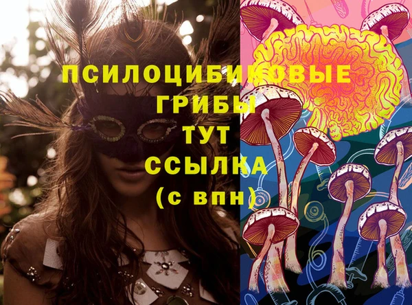 МДПВ Волоколамск