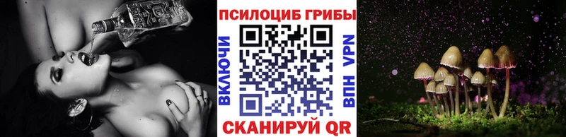 мориарти клад Дно Галлюциногенные грибы Cubensis