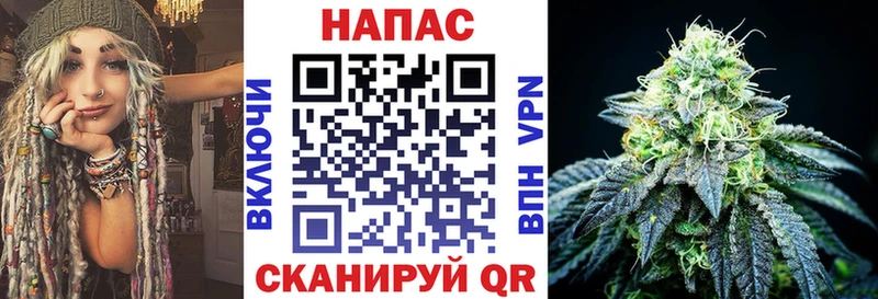 Шишки марихуана ГИДРОПОН Дно